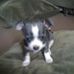 Troy Nace - Facebook