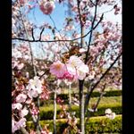 troy Nicholas - @troy__jenna4ever - Instagram
