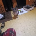 Troy Nicholas - Facebook