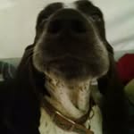 Troy ODell - @troy.odell.980 - Instagram