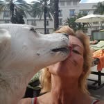 Troy odell - @troyodell7 - Instagram
