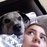 Troy Odell - @tr0yboi - Instagram