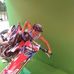 Troy Osborn - Facebook