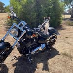 Troy Parsons - @troy.parsons.334 - Instagram