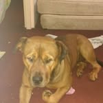 Troy Parsons - @troy.parsons.798 - Instagram