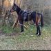 Troy Payton - Facebook