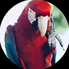 Troy Payton - @troy.payton0 - TikTok