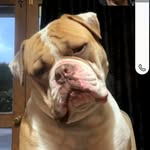Troy Pearce - @pearce3849 - Instagram