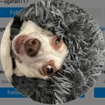 Troy Pennington - @ugaf_an117 - Instagram