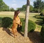 Troy Pickett - Facebook