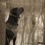 Troy Presley - @troy.presley.3 - Instagram