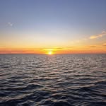 Troy Pressick - @troypress29 - Instagram