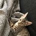 Troye Kastrup Pustelnik Hansen - Facebook