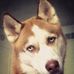 Troy Radloff - Facebook