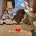 Troy Radloff - Facebook