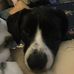 Troy Rudloff - Facebook