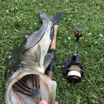 Troy Reeves - @reeves8342 - Instagram