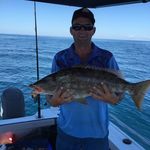 Troy Ridley - @tridley2 - Instagram