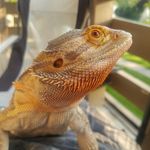 Troy Ritchie - @troy_889 - Instagram