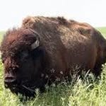 Troy robison - @troyjrobison9171 - Instagram