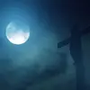 troyrobison - @troyrobison - TikTok