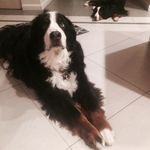 Troy Roth - @troy.roth.10 - Instagram