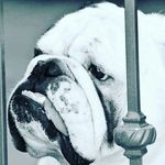 Troy James Ryder - @eviltroy - Instagram