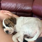 Troy Ryder - Facebook