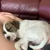Troy Ryder - @troy.ryder0 - TikTok