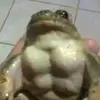 Memes - @troysanchez36 - TikTok