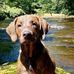 Drew Schoolcraft - Facebook