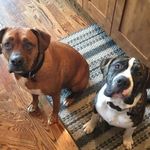 troy Schultz - @troy_schultz - Instagram