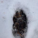 Troy Schultz - @tschultz17 - Instagram