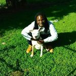Troy Sherman - @troysherm - Instagram