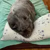 Troy Sherman - @troy.sherman30 - TikTok