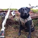 Troy Shoemaker - @shoemakertroy - Instagram