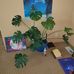 Troy Schopp - Facebook