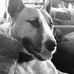 Troy Silky Furniss - Facebook