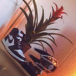 Troy Simpson - @_troysimpson_ - Instagram