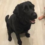 Troy Smithson - @smithson_troy - Instagram
