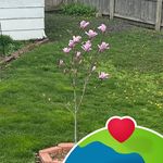 Troy Kathy Jo Spears - @kathyspears74 - Instagram