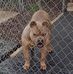 Troy Spears - Facebook
