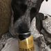 Troy Squires - Facebook