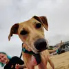 troy_squires_1 - @troy_squires_1 - TikTok