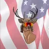 Troy - @troysquire - TikTok