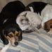 Troy Stallard - Facebook