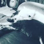 @troystanford18 - Instagram