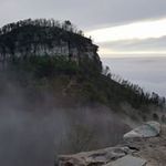 Troy Stapleton - @troy.stapleton.1614 - Instagram