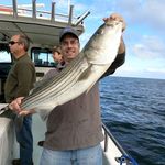 Troy Stauffer - @troy.stauffer.505 - Instagram