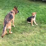 troy + stella - @troyandstella - Instagram